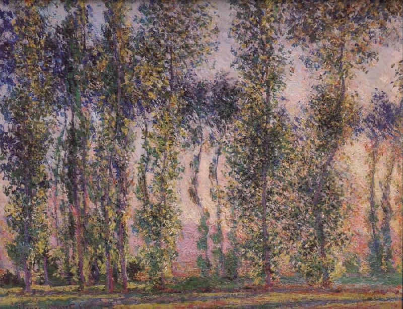 Claude Monet Poplars at Giverny China oil painting art